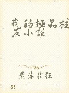 我的极品校花女友小说
