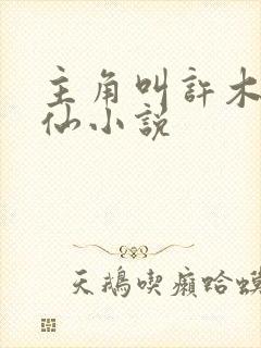 主角叫许木的修仙小说