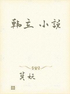 韩立 小说