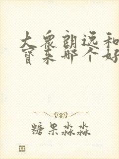 大众朗逸和大众宝来哪个好