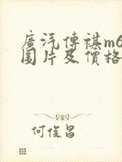 广汽传祺m6款图片及价格