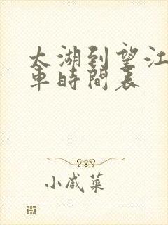 太湖到望江公交车时间表