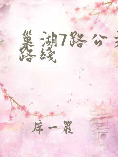 巢湖7路公交车路线