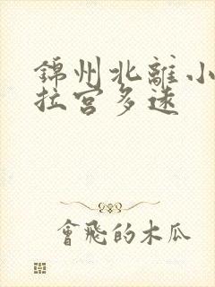 锦州北离小布达拉宫多远