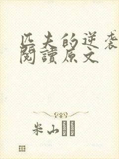 匹夫的逆袭免费阅读原文