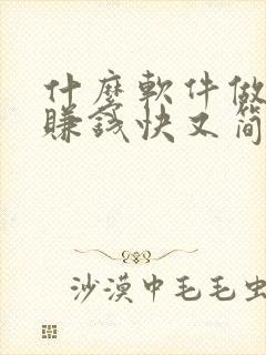 什么软件做任务赚钱快又简单