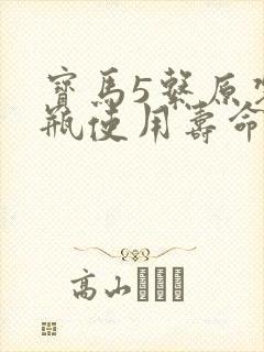 宝马5系原装电瓶使用寿命