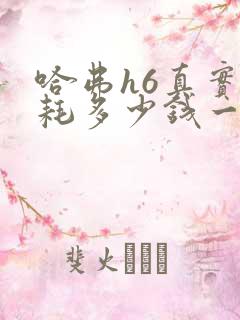 哈弗h6真实油耗多少钱一公里