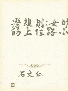 潜规则:女明星的上位路小说
