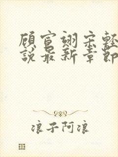 顾宣翊宋轻棠小说最新章节免费阅读