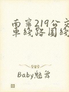 南宁219公交车线路图线路