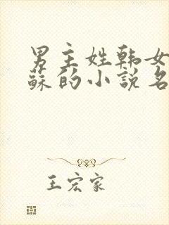 男主姓韩女主姓苏的小说名字