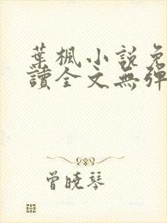 叶枫小说免费阅读全文无弹窗最新