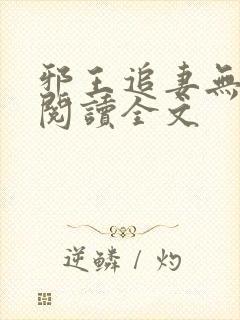 邪王追妻无删减阅读全文