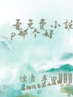 看免费小说app哪个好