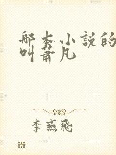 哪本小说的主角叫萧凡 哪本小说的主角叫萧凡