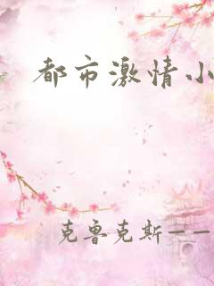 都市激情小说网
