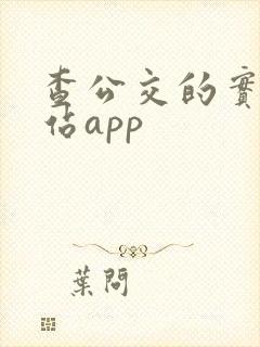 查公交的实时到站app