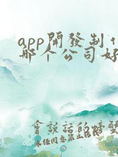 app开发制作哪个公司好
