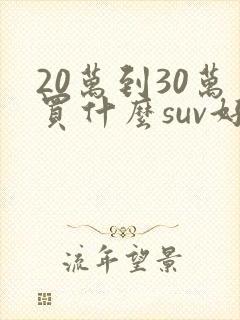 20万到30万买什么suv好