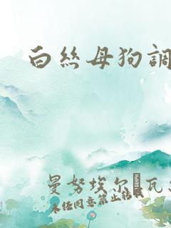 白丝母狗调教
