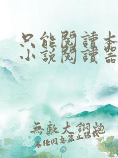 只能阅读本地的小说阅读器