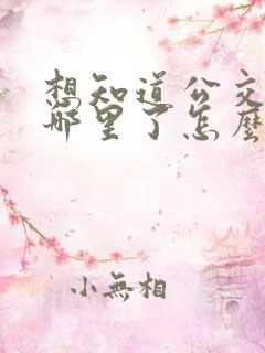想知道公交车到哪里了怎么查