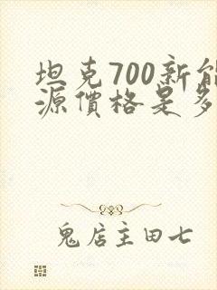坦克700新能源价格是多少