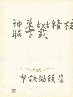 神墓txt精校版下载