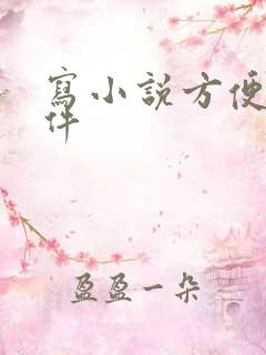写小说方便的软件