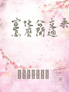 宣化公交乘车码怎么开通