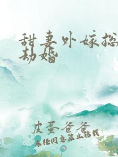 甜妻外嫁总裁要劫婚