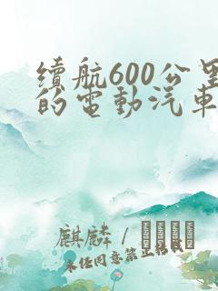 续航600公里的电动汽车有哪些
