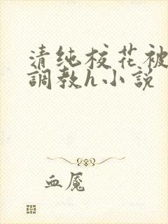 清纯校花被地狱调教h小说
