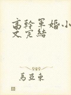 高干军婚小说宠文完结