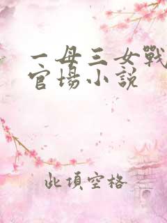 一母三女战一婿官场小说