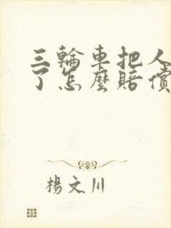 三轮车把人撞伤了怎么赔偿