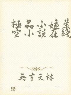 极品小姨叶凡司空小说在线阅读全文
