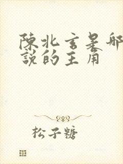 陈北玄是哪部小说的主角