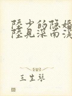 陆少的隐婚罪妻陆见深南溪