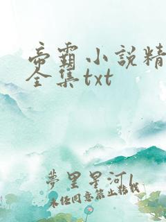 帝霸小说精校版全集txt