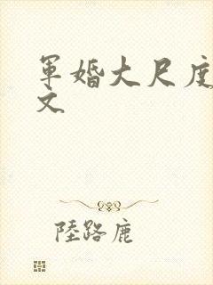 军婚大尺度肉宠文