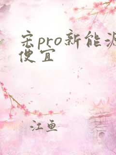 宋pro新能源便宜