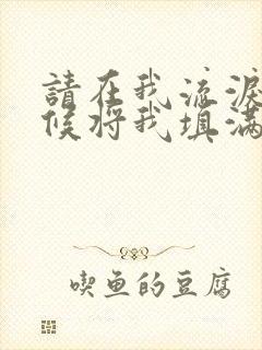 请在我流泪的时候将我填满小说阅读