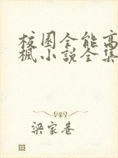 校园全能高手季枫小说全集完整版txt