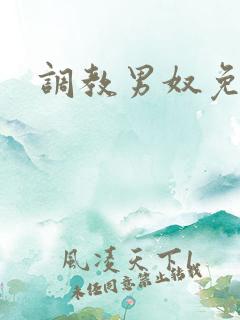 调教男奴免费看