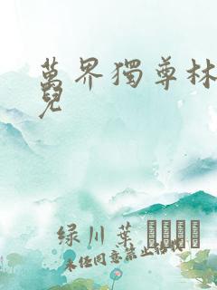 万界独尊林枫女儿