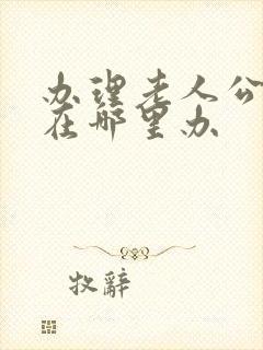 办理老人公交卡在哪里办