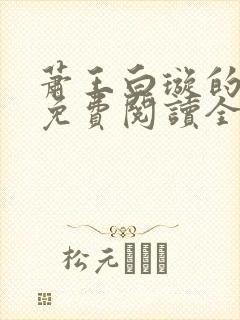 萧王白璇的小说免费阅读全文