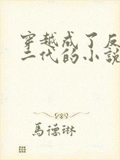穿越成了反派富二代的小说叶枫